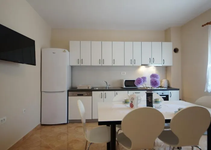 Miro * ביבינייה