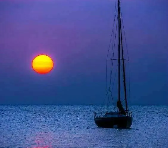 Miro ביבינייה