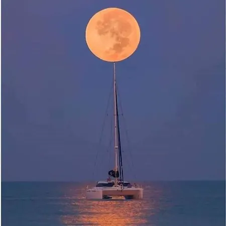 酒店 Miro 比比涅